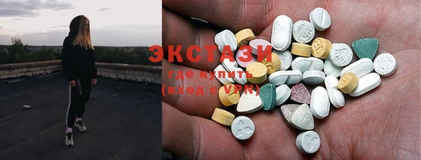 крисы Богородицк