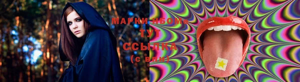 крисы Богородицк