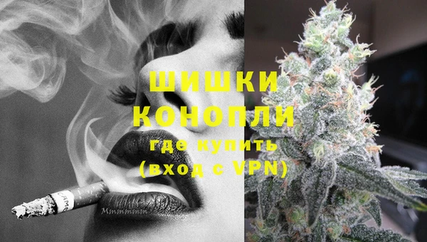 МДПВ Бородино