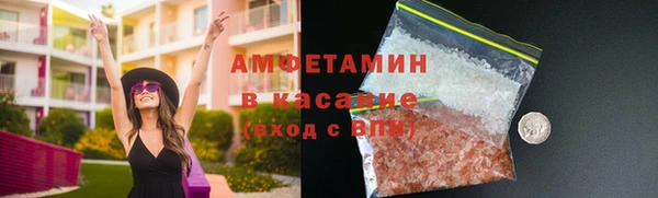 МДПВ Бородино