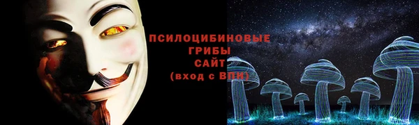 трава Арсеньев