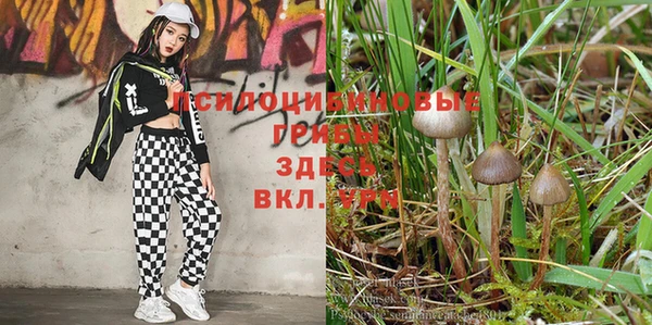 прущий лед Бронницы
