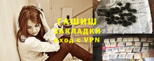 МДПВ Бородино